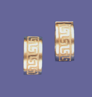 M12ad5049N